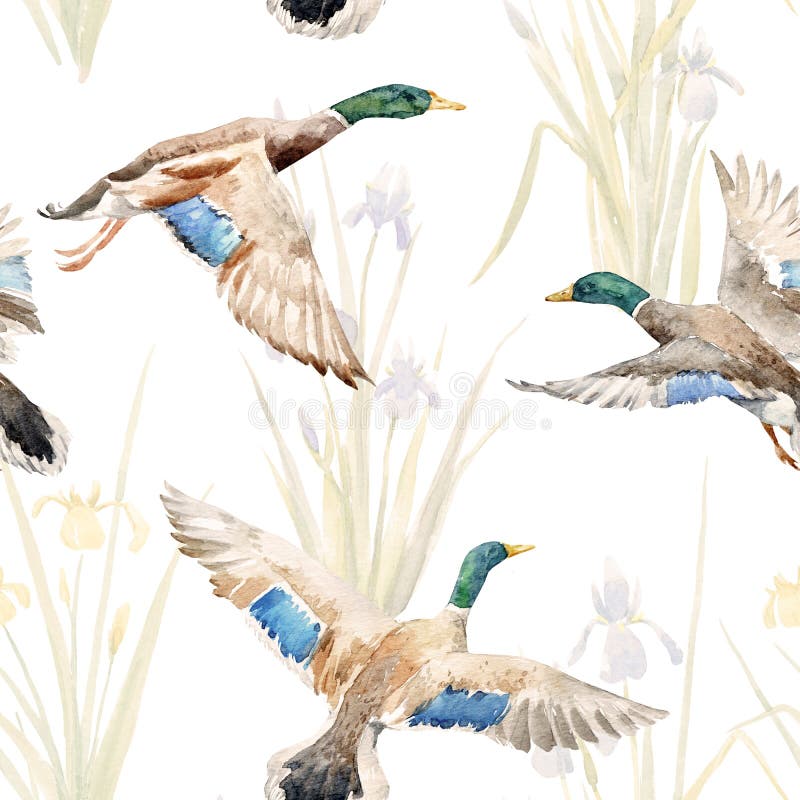 Watercolor pattern with ducks stock illustration