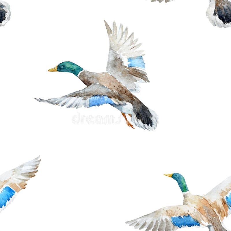 Watercolor pattern with ducks stock illustration