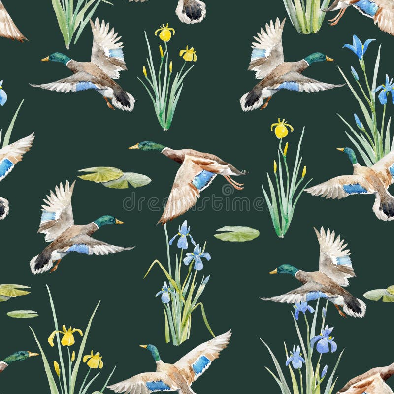Watercolor pattern with ducks stock illustration