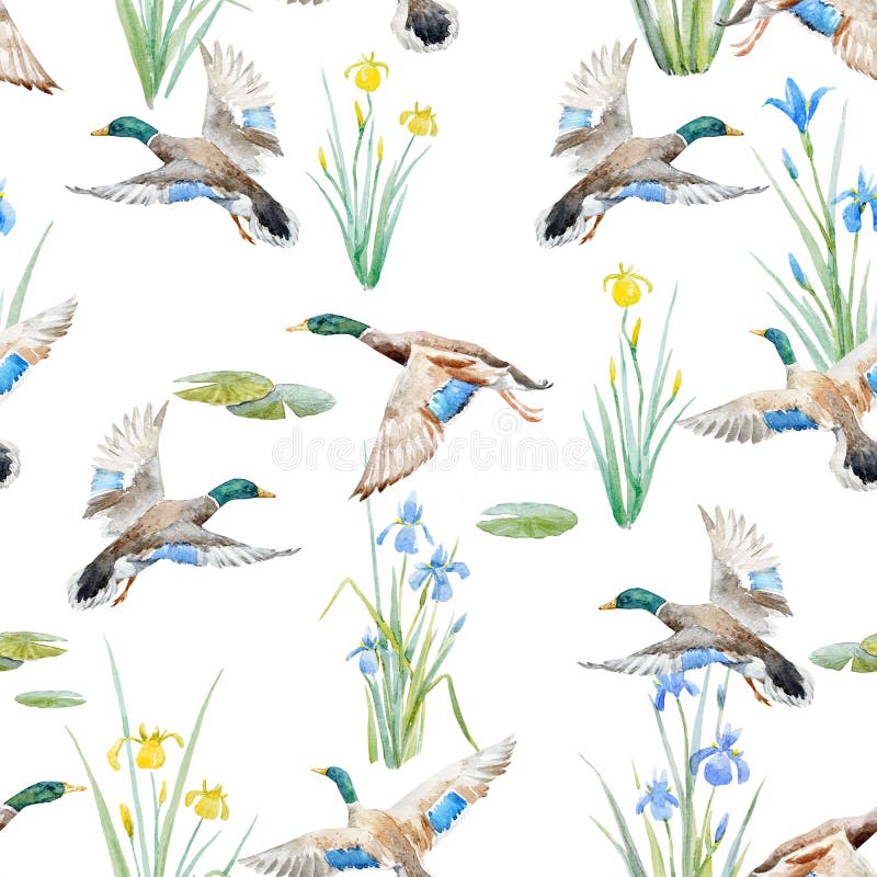 Watercolor pattern with ducks vector illustration