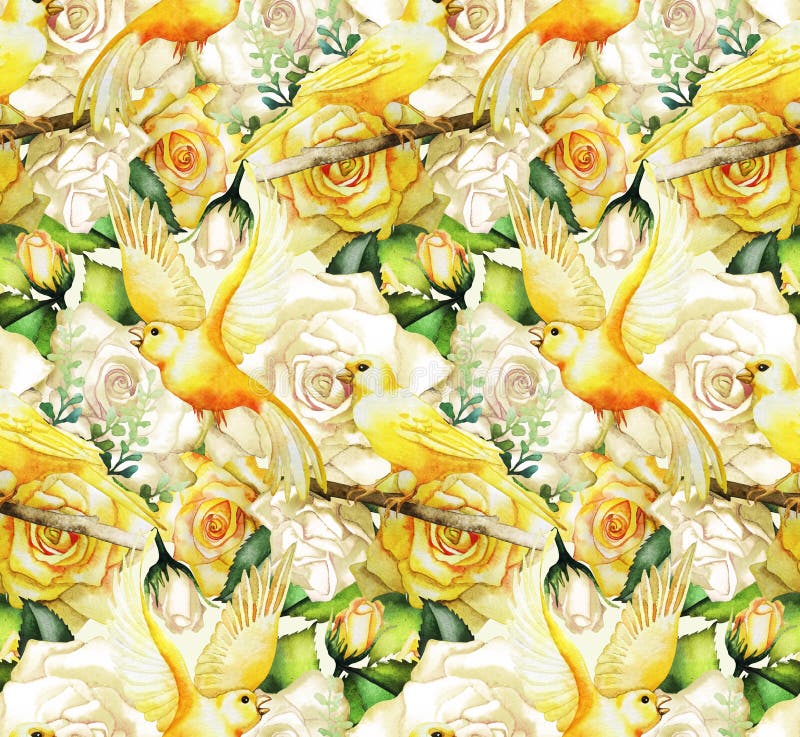 Watercolor Pattern Roses Canaries Stock Illustrations – 1 Watercolor ...