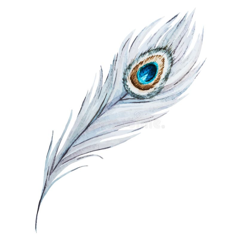 Mandalas – Peacock Feathers | Birmingham Museum of Art Culture Bridge