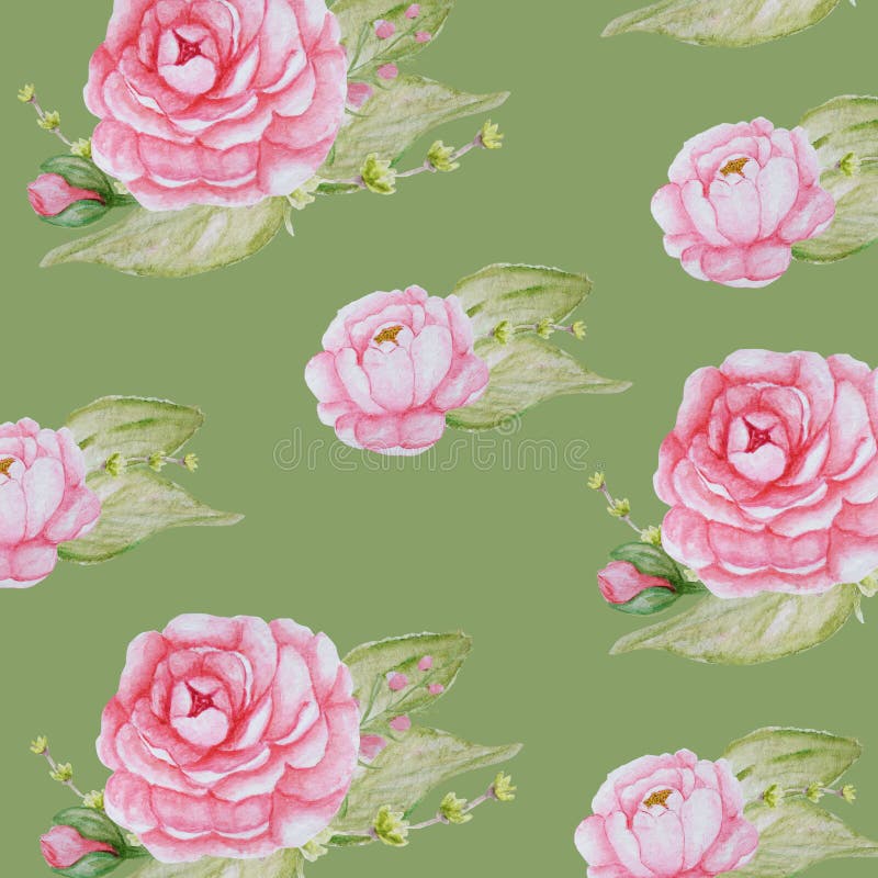 Watercolor Peony Flowers pattern, Pink Peonies texture, Romantic Scrapbook paper on green background vector illustration Watercolor Peony Flowers pattern, Pink Peonies texture, Romantic Scrapbook paper on green background vector illustration