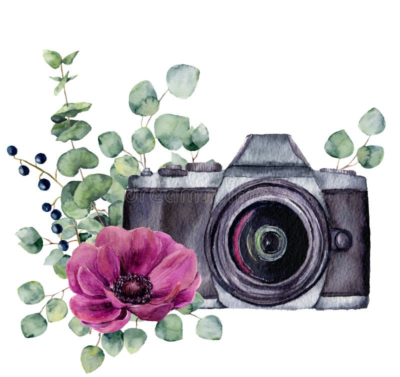 Download Watercolor Photo Label With Anemone Flower And Eucalyptus ...
