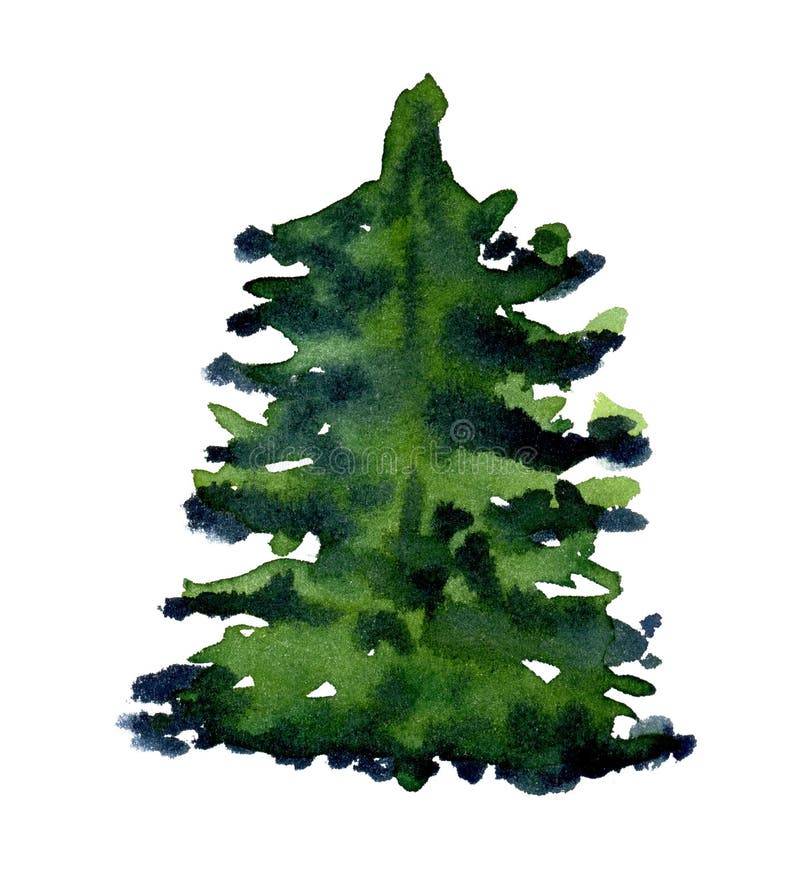 Watercolor Pine Tree Isolated On White Hand Painted Illustration Stock Illustration Illustration Of Paint Card 222681252