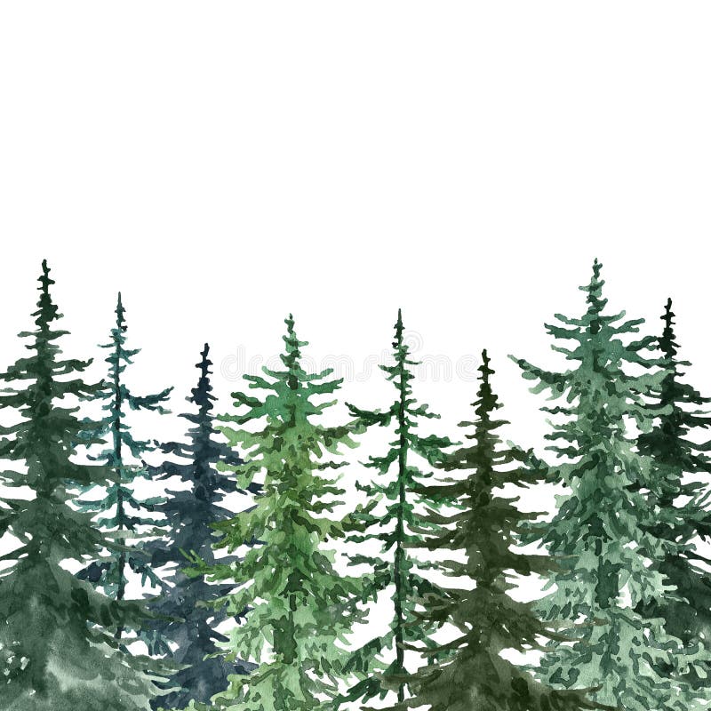 Watercolor pine trees background. Banner with hand painted spruce forest, isolated. Winter wonderland illustration for Christmas royalty free stock image Watercolor pine trees background. Banner with hand painted spruce forest, isolated. Winter wonderland illustration for Christmas royalty free stock image