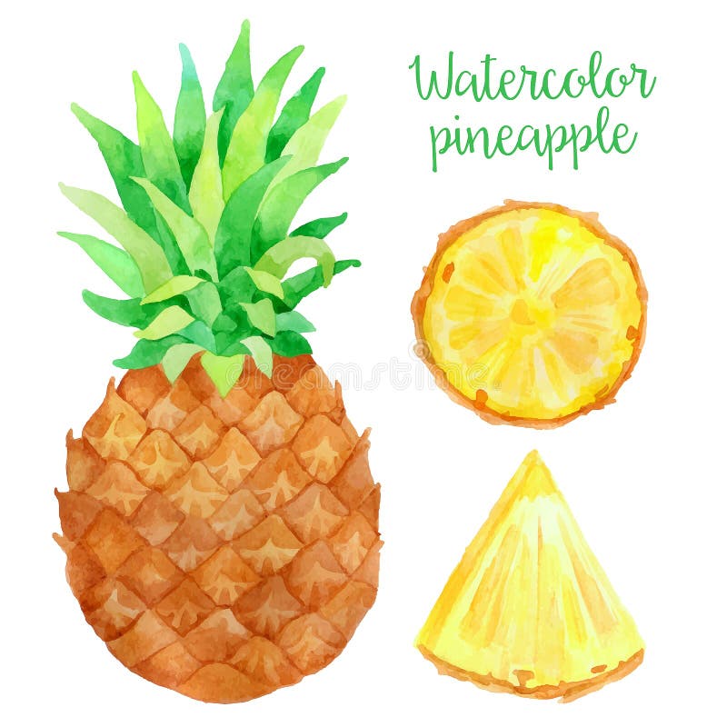 Download Watercolor pineapple stock vector. Illustration of handwork - 58421829