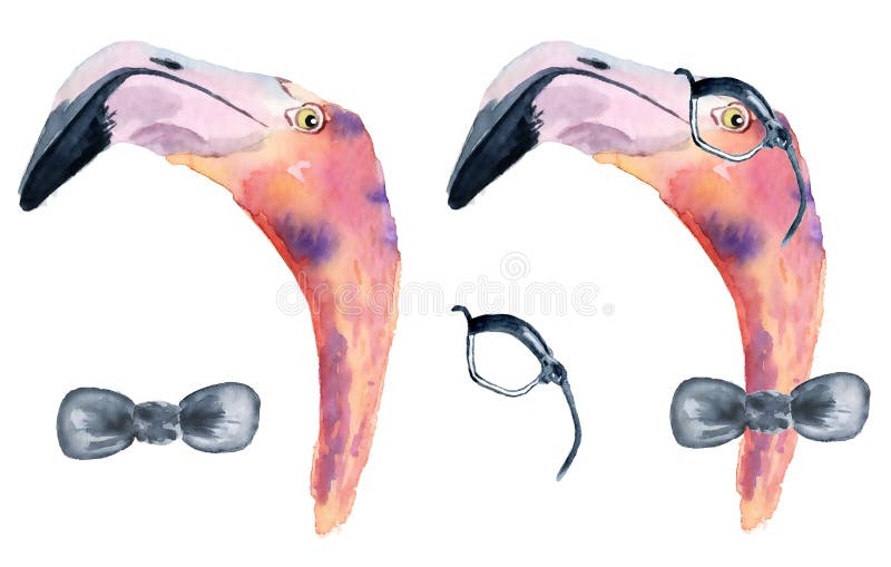 watercolor pink flamingo with bow tie and glasses royalty free illustration watercolor pink flamingo with bow tie and glasses royalty free illustration