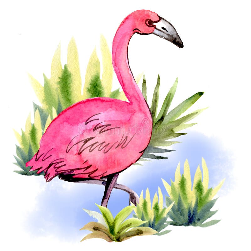 123 Flamingo Sketch Stock Photos - Free & Royalty-Free Stock Photos from  Dreamstime