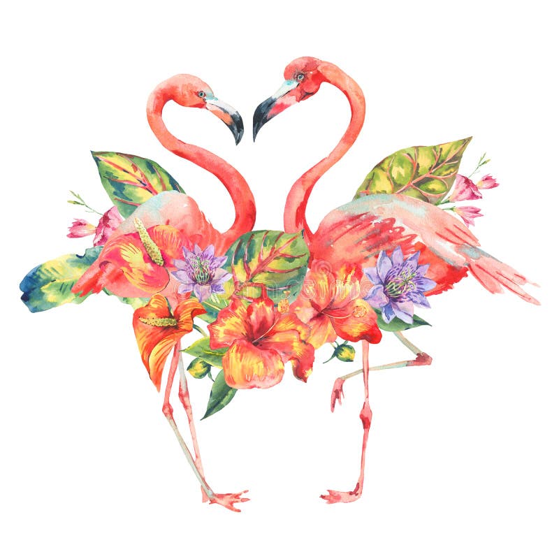 Watercolor pink flamingo and tropical flowers vector illustration Watercolor pink flamingo and tropical flowers vector illustration