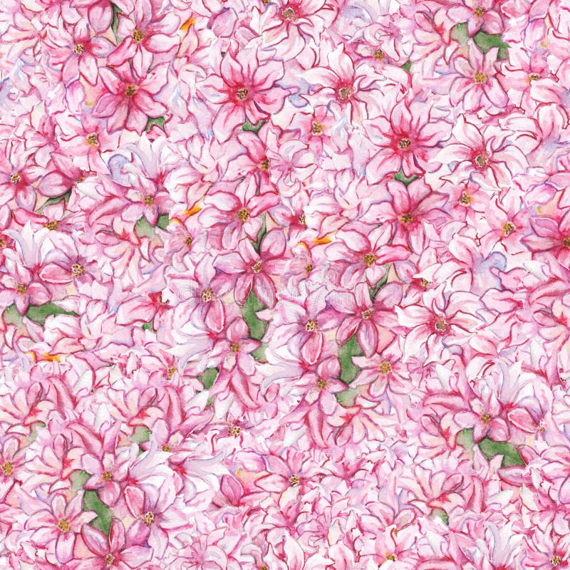 Watercolor pink hyacinth flower nature plant seamless pattern texture background