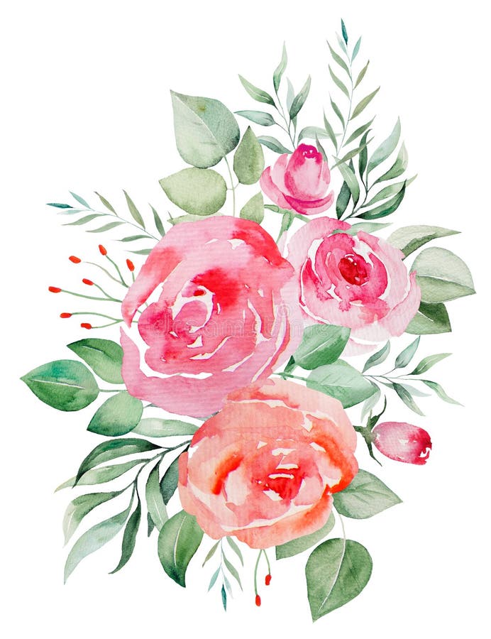 Watercolor Pink and Red Roses Flowers and Leaves Bouquet Illustration ...