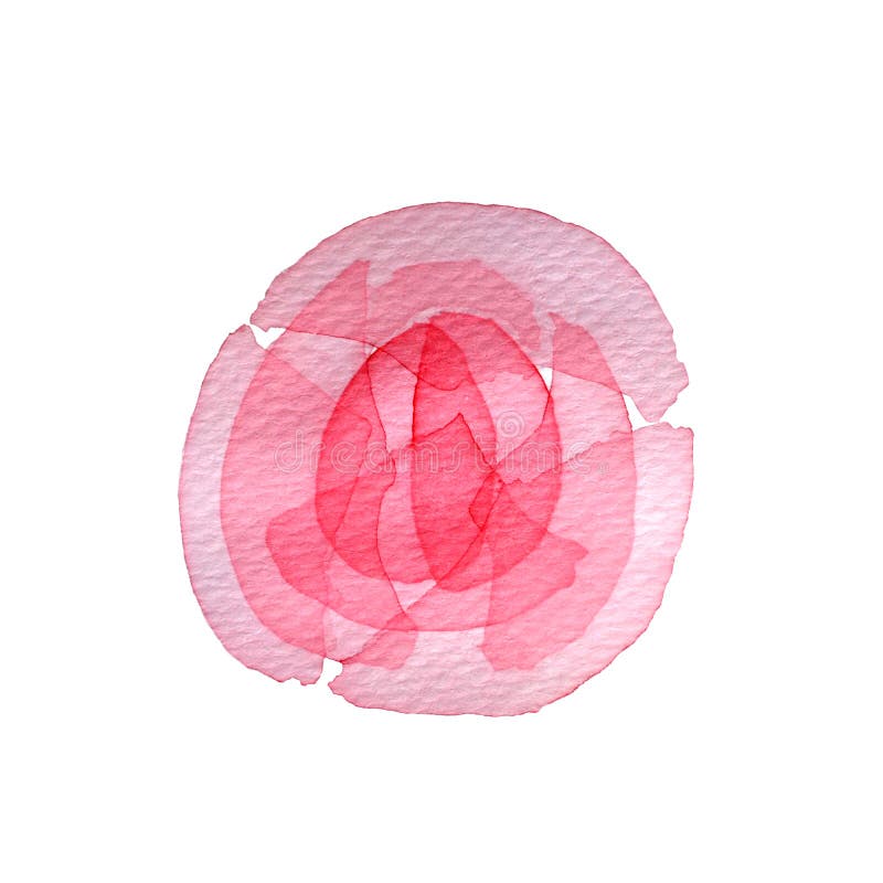 Watercolor pink transparent layered pink Flower rose peony on white background royalty free illustration Watercolor pink transparent layered pink Flower rose peony on white background royalty free illustration
