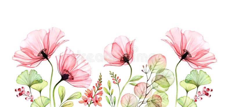 Watercolor Poppy bottom border. Horizontal floral background. Abstract pink flowers with leaves on white. Botanical stock photos