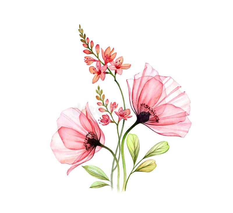 Watercolor Poppy Bouquet. Two Abstract Pink Flowers with Leaves and ...