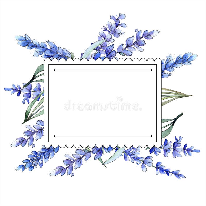 Watercolor Purple Lavender Flower. Floral Botanical Flower. Frame ...