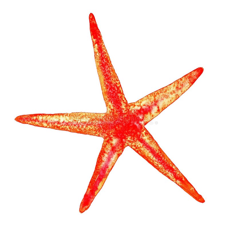 Colorful Starfish Isolated On White Background. Watercolor