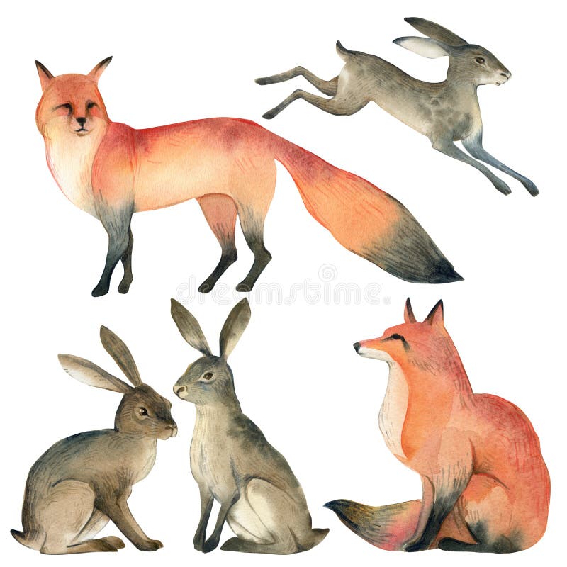 Watercolor realistic forest animal sketch. red fox, rabbit, hare vector illustration Watercolor realistic forest animal sketch. red fox, rabbit, hare vector illustration