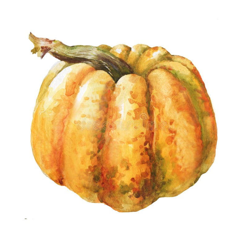 Pumpkins Watercolor clipart Realistic watercolor.