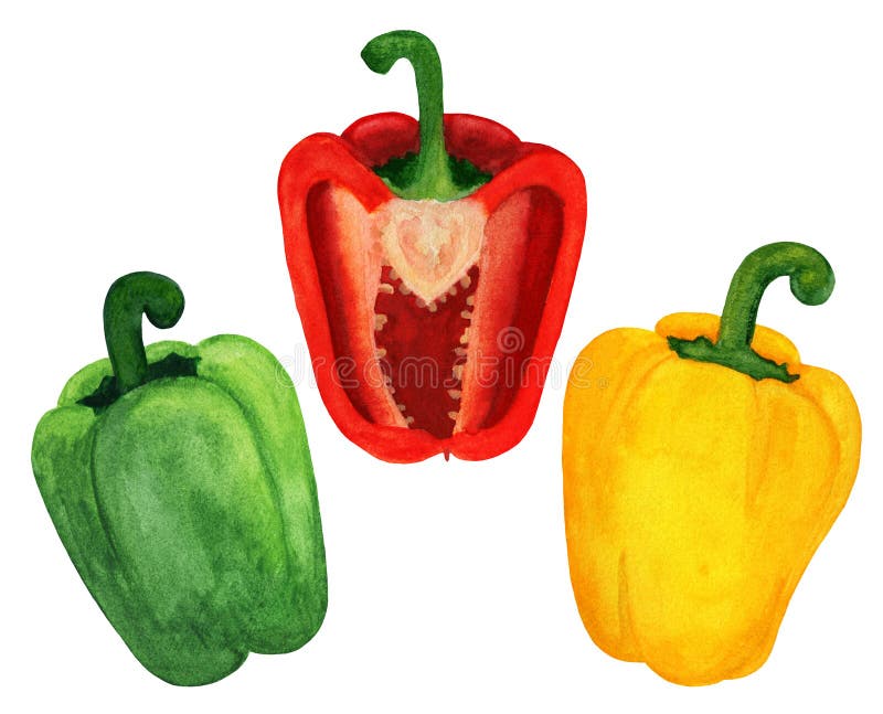 Watercolor red, green and yellow bell pepper set