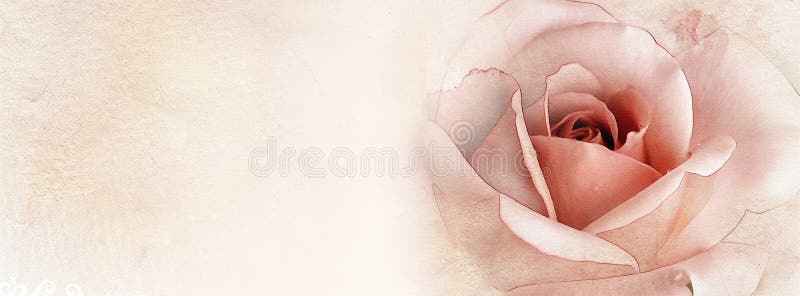 Watercolor Rose Flowers Background on Old Paper - Facebook Cover Stock  Illustration - Illustration of blossom, flowers: 180627864