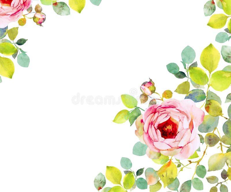 Watercolor Roses Flower Background Stock Illustration - Illustration of ...