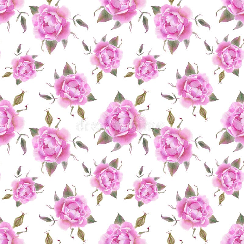 Rose Flower Seamless Pattern Roses White Background Stock Vector Stock ...