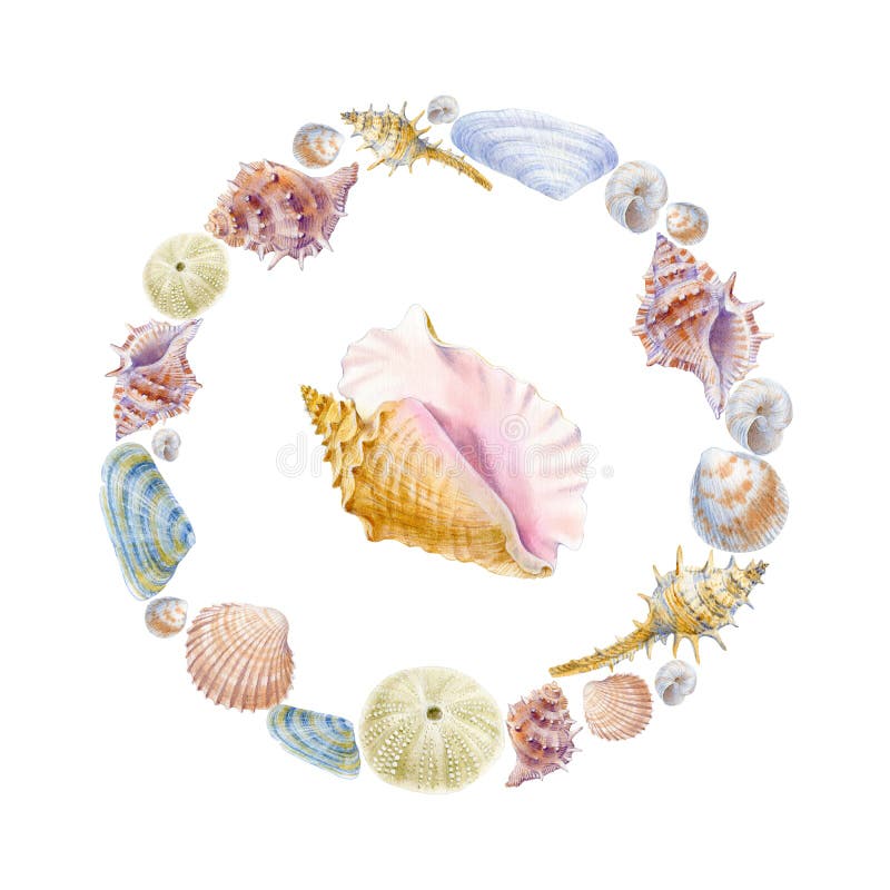 Watercolor round frame of sea shells. Illustration for greeting cards, invitations, and other printing and web projects. royalty free illustration Watercolor round frame of sea shells. Illustration for greeting cards, invitations, and other printing and web projects. royalty free illustration