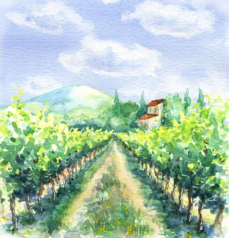 Watercolor Rural Scene with Vineyard stock illustration Watercolor Rural Scene with Vineyard stock illustration