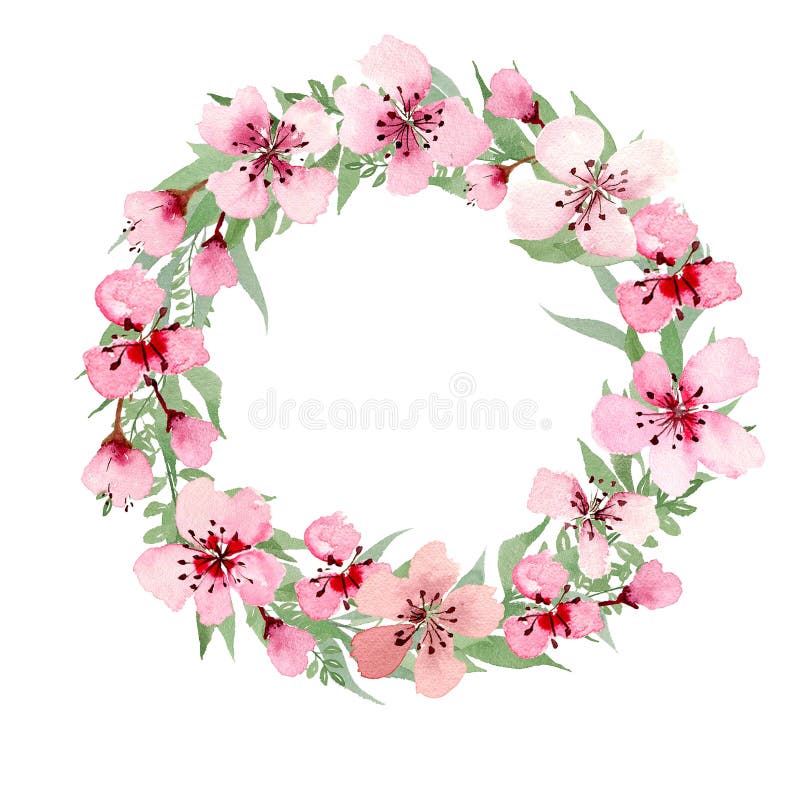 Watercolor pink floral Free Vector Vector flower PNG image download free