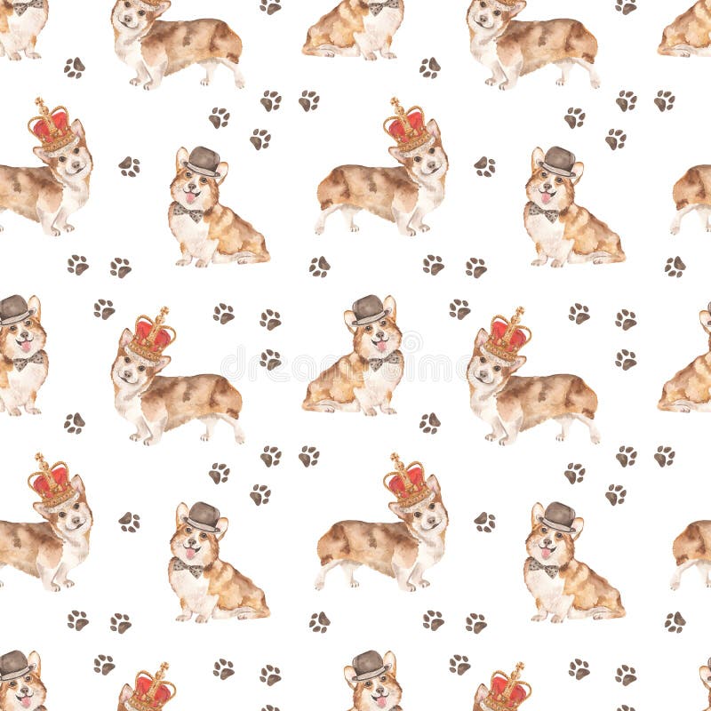 Cute welsh corgi in a hat and crown with paw prints on a white background Watercolor seamless pattern. Seamless bow stock images, royalty-free photos and pictures