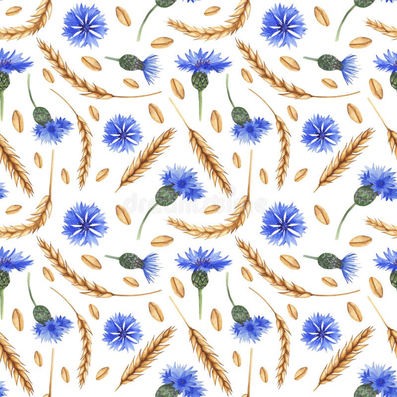 Watercolor seamless pattern with ears of wheat and cornflowers. royalty free illustration Watercolor seamless pattern with ears of wheat and cornflowers. royalty free illustration