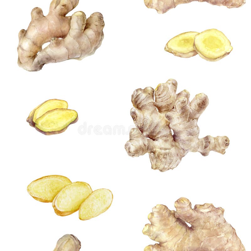 Watercolor seamless pattern ginger root kitchen spice.