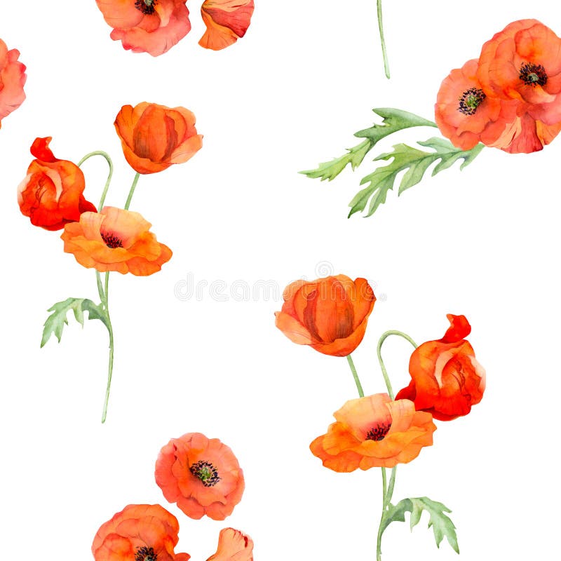 727 Hand Drawn Poppy Stock Photos - Free & Royalty-Free Stock Photos ...