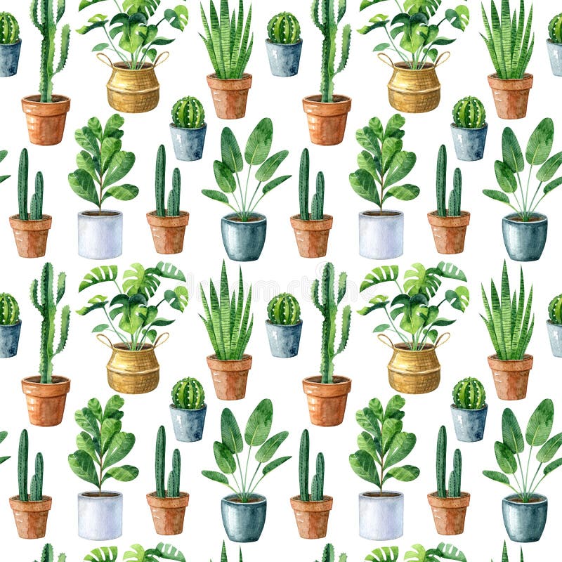 Watercolor seamless pattern with home plants in clay pots and straw basket