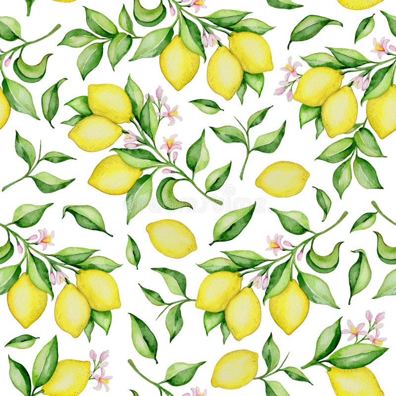 Watercolor Seamless Pattern with Lemons Stock Illustration ...