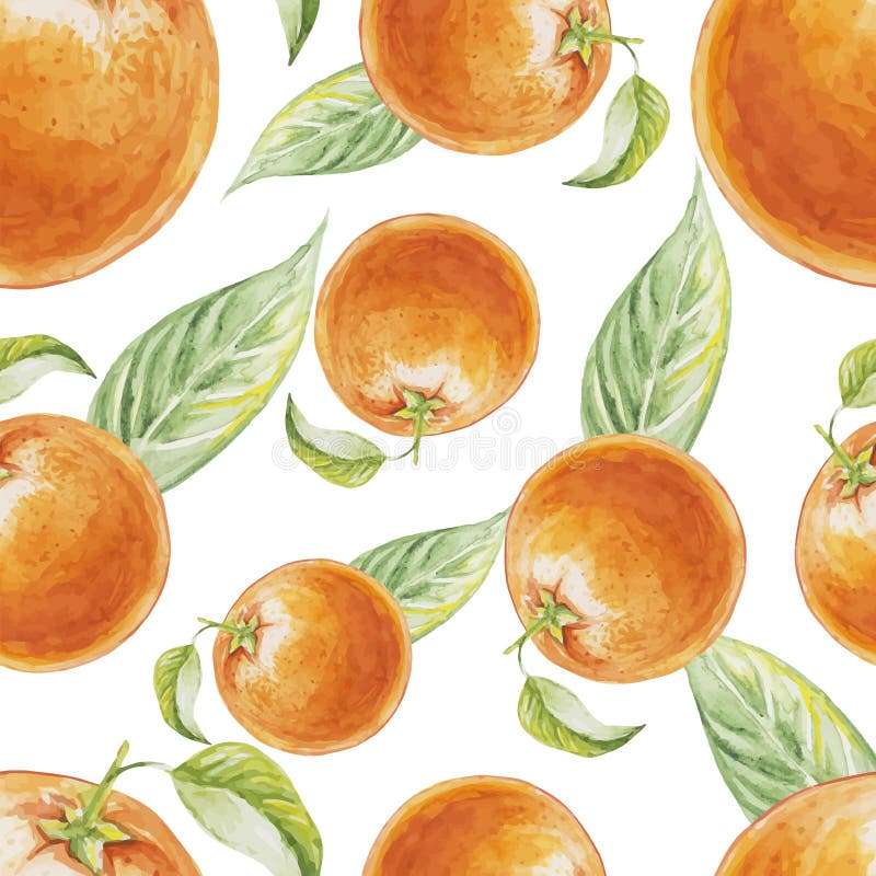 Watercolor Seamless Pattern of Orange Fruit with Leafs. Stock ...