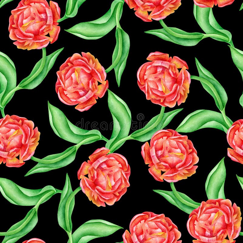 Watercolor seamless pattern with red roses and leaves. Hand painted flowers on black background. Trendy floral texture