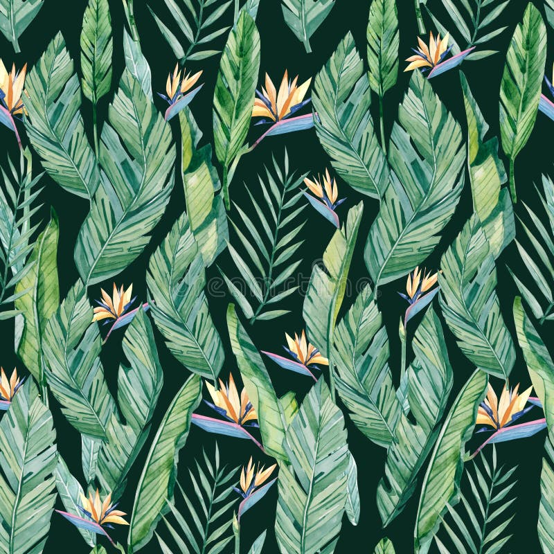 Watercolor seamless pattern of tropical floral. Banner with tropical may be used as background texture, wrapping paper, textile stock illustration Watercolor seamless pattern of tropical floral. Banner with tropical may be used as background texture, wrapping paper, textile stock illustration