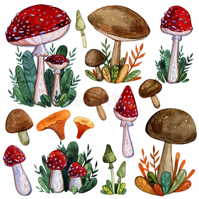 Watercolor set of autumn mushrooms