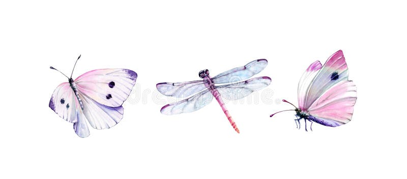 Watercolor set of dragonfly and butterflies. Realistic insect painting isolated on white. Detailed wings and pink body. Hand painted collection of summer illustrations. Watercolor set of dragonfly and butterflies. Realistic insect painting isolated on white. Detailed wings and pink body. Hand painted collection of summer illustrations.