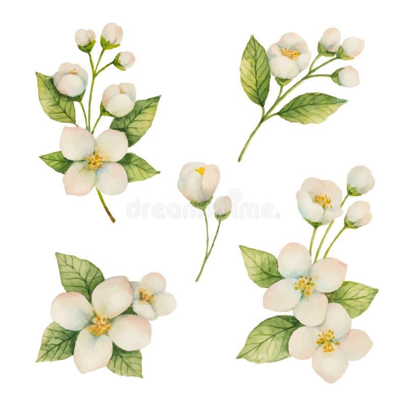 White Flower Paper Stock Illustrations – 263,034 White Flower Paper Stock  Illustrations, Vectors & Clipart - Dreamstime