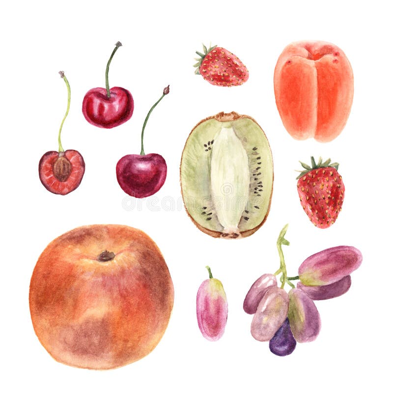 Watercolor Set Fruit Isolated on white. Peach apricot kiwi grape cherry strawberry royalty free stock photo Watercolor Set Fruit Isolated on white. Peach apricot kiwi grape cherry strawberry royalty free stock photo