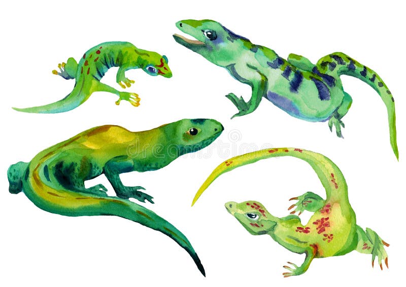 Watercolor set of isolated tropical lizards green color