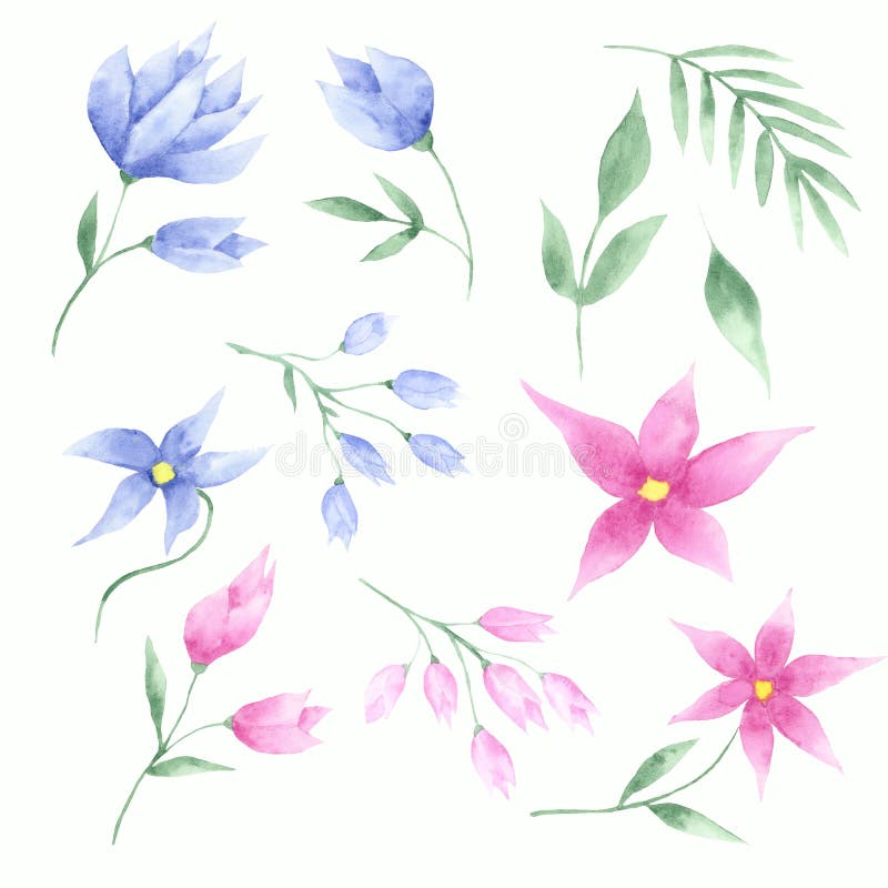 Watercolor set of pink and blue flowers, tulips and leaves royalty free illustration Watercolor set of pink and blue flowers, tulips and leaves royalty free illustration