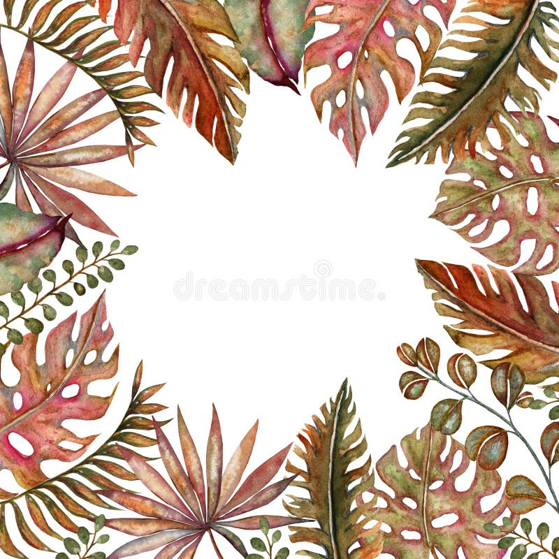 Watercolor set of vintage floral tropical natural elements. Exotic flowers, twigs and leaves. Botanical bright classic royalty free illustration Watercolor set of vintage floral tropical natural elements. Exotic flowers, twigs and leaves. Botanical bright classic royalty free illustration