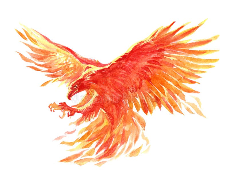 Watercolor single character mystical mythical character phoenix isolated vector illustration Watercolor single character mystical mythical character phoenix isolated vector illustration