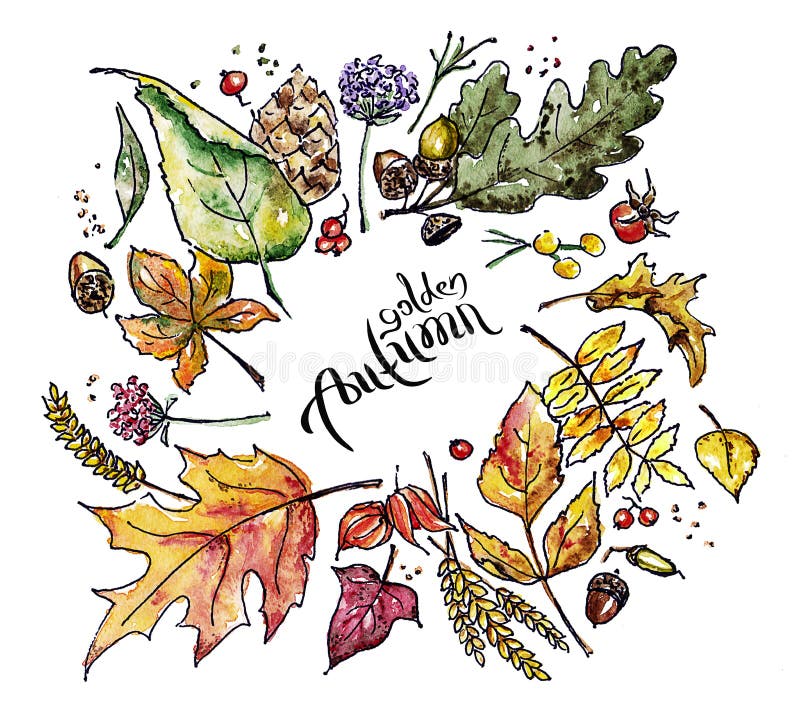 Watercolor Sketch Of Autumn Leaves Stock Illustration - Illustration of ...