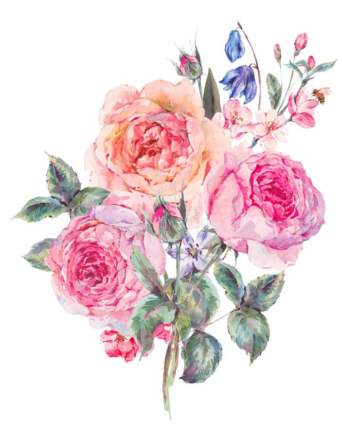 Watercolor Spring Bouquet with Blooming Cherry and English Roses Stock ...