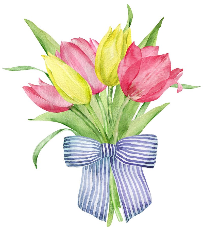 Watercolor spring bouquet with pink and yellow tulips decorated with a striped blue bow. Easter and Mother`s Day card